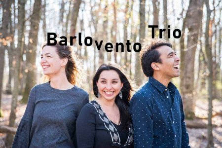Barlovento Trio en concert